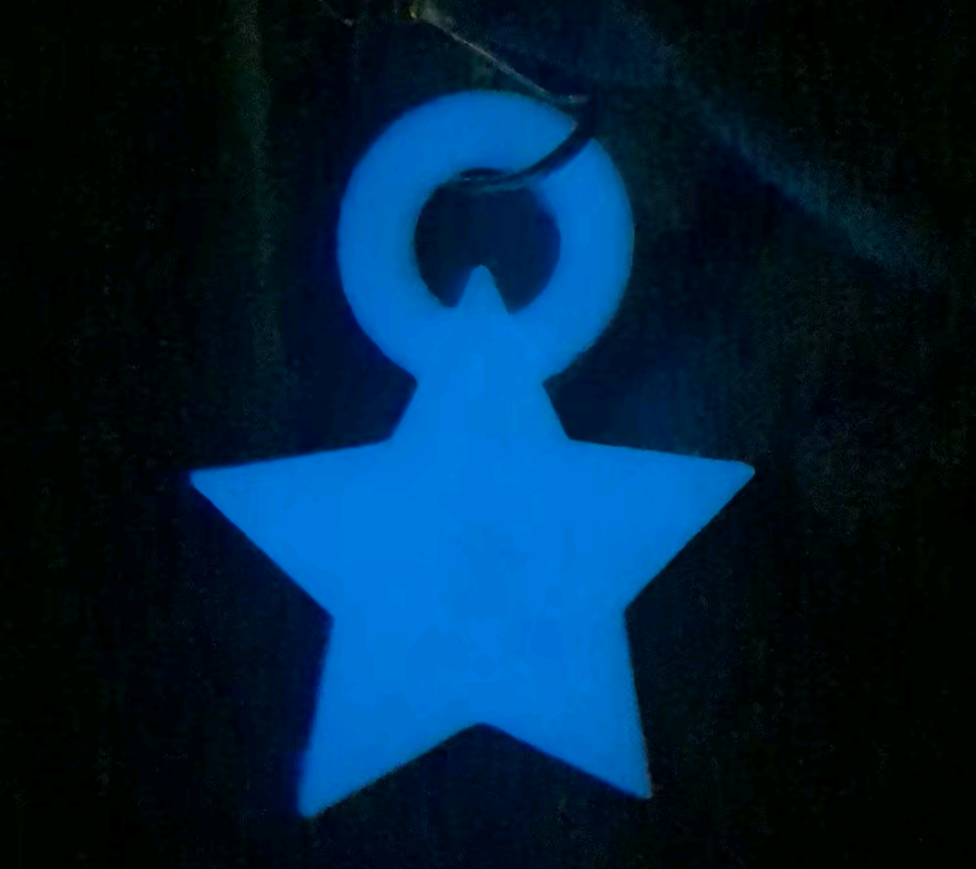 Glow in the Dark Star Keychain